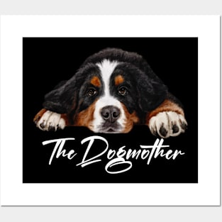 Bernese mountain dog Posters and Art